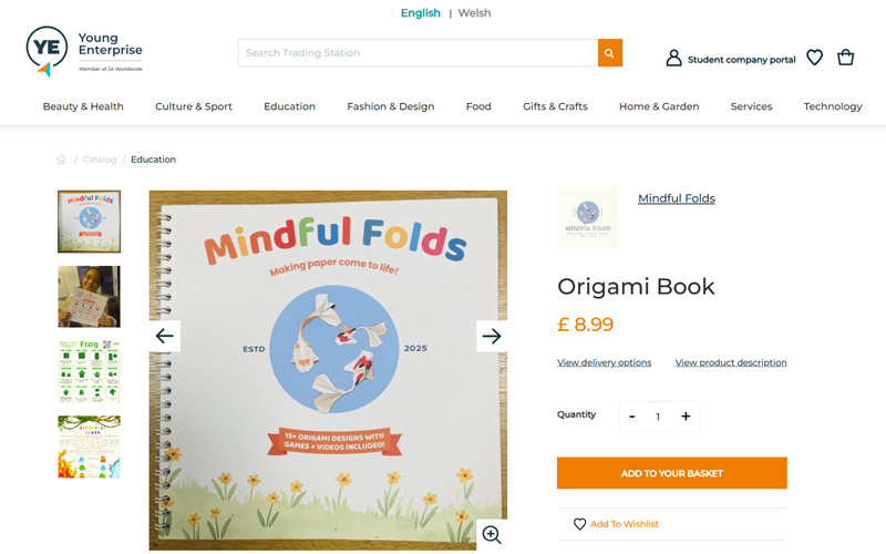 Cover of "Mindful Folds" book featuring intricate paper folding designs and calming colors.